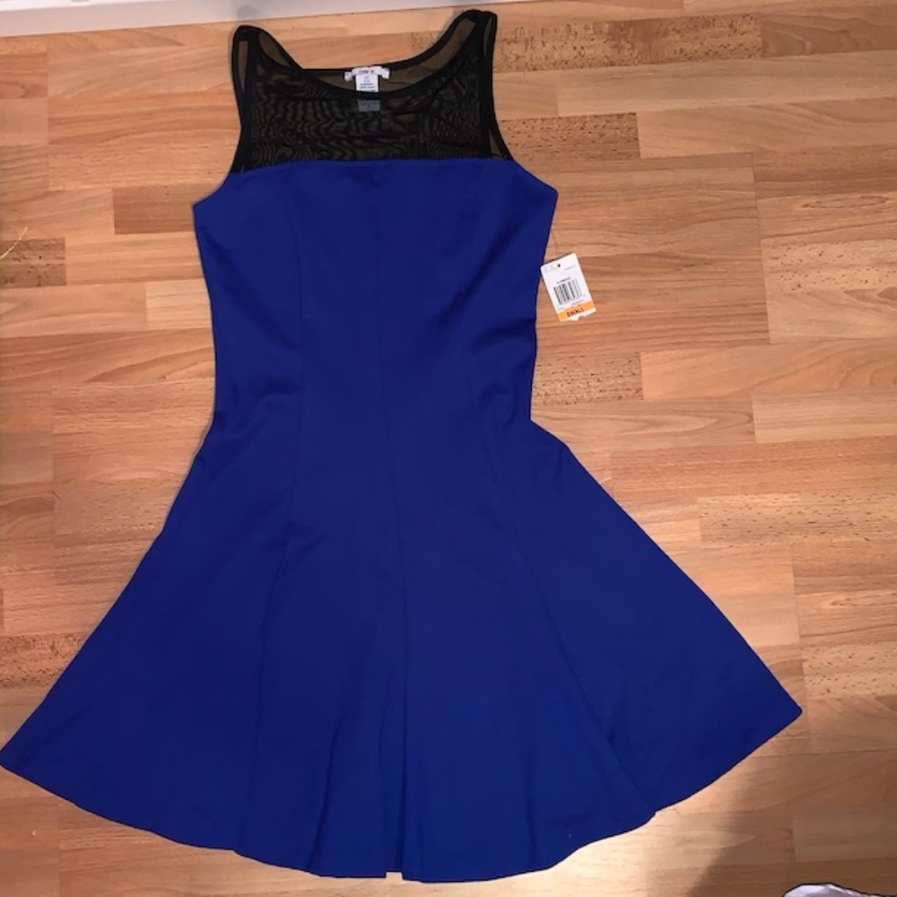 NWT Bar III Fit-n-Flare Dress w Black Mesh Top